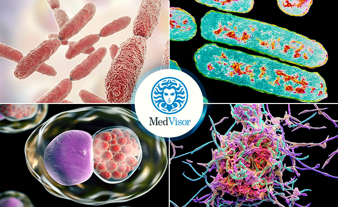 Возбудители острого бронхита Как понять что бронхит перешел в пневмонию