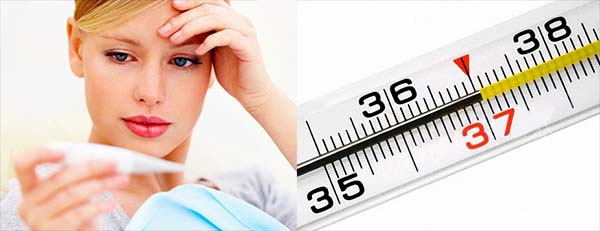 Термометр 37,1