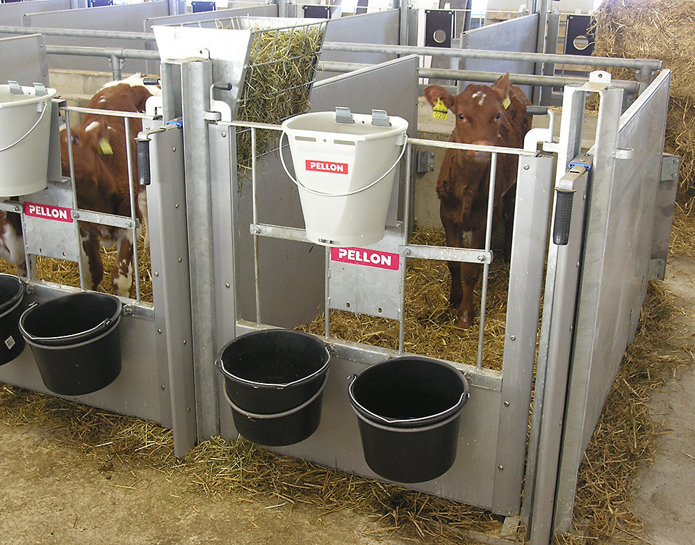 Содержание заболевших телят