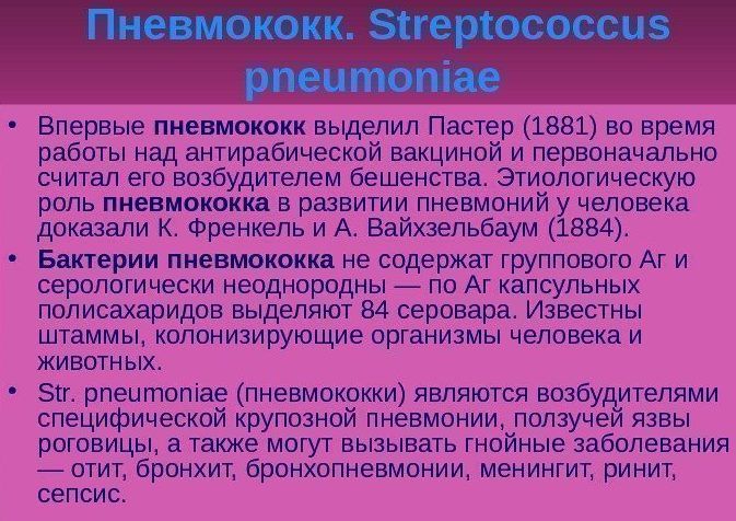 Пневмококки