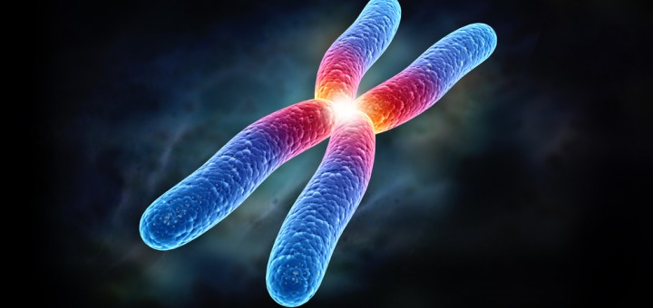 Генетическая предрасположенность Генетическая предрасположенность