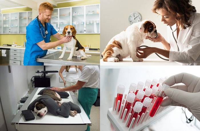 Диагностика болезни