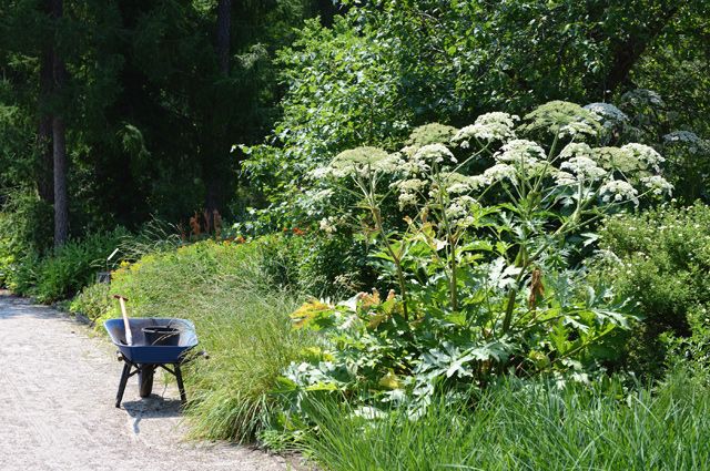 Ожог у ребенка от сока