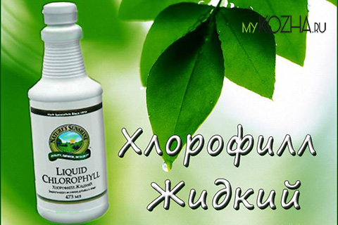 хлорофилл жидкий