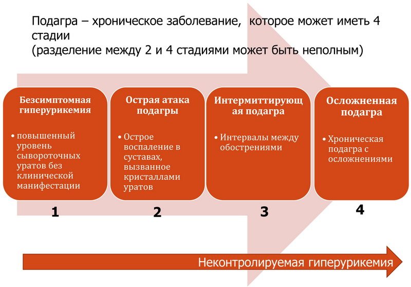 Аллопуринол при подагре механизм действия