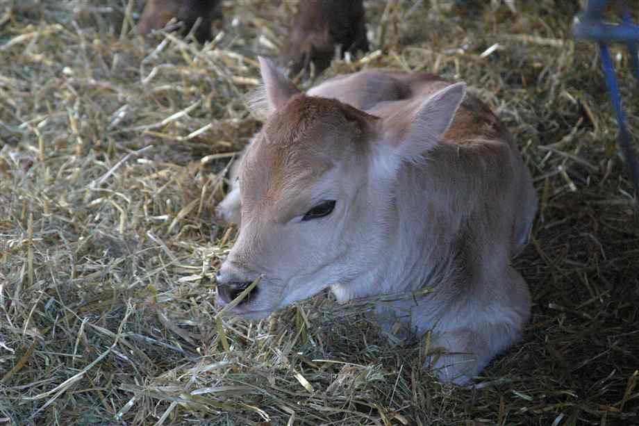 Меры профилактики